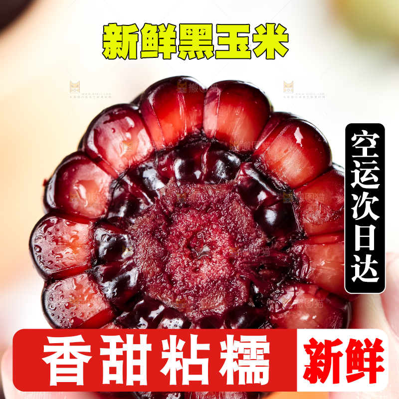 手里拿着黑珍珠玉米
