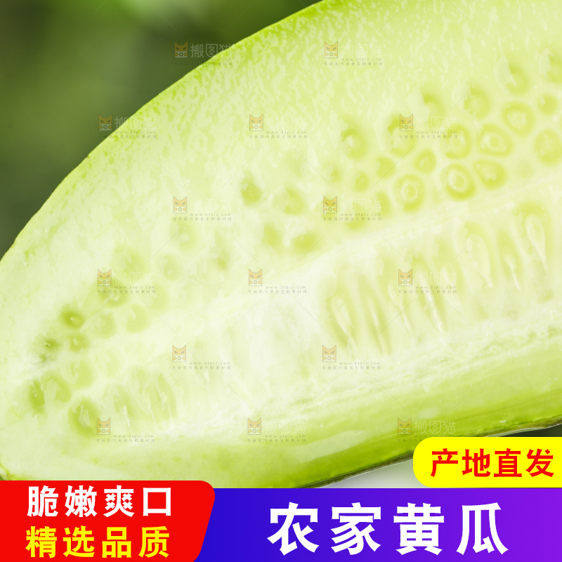 手里拿着青瓜