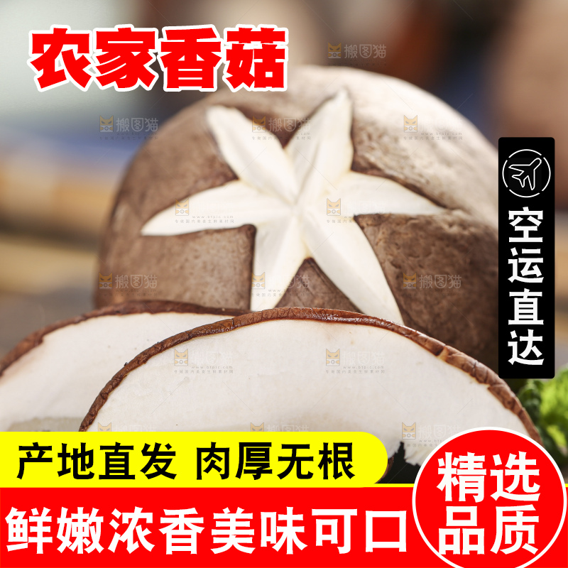 木底上摆放着新鲜香菇