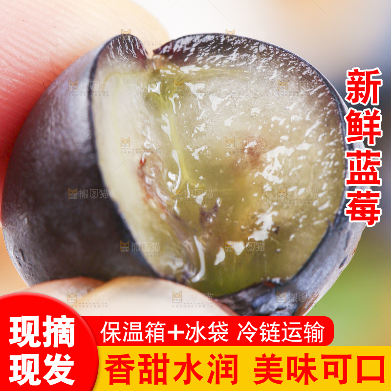 手里拿着蓝莓果