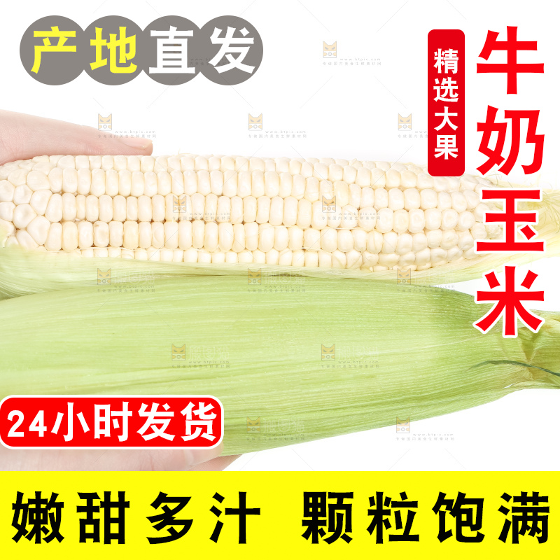 手里拿着玉米棒