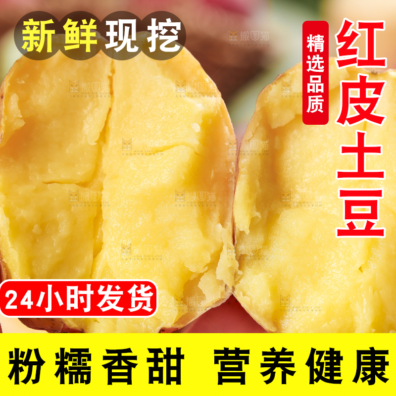 手里拿着红皮土豆