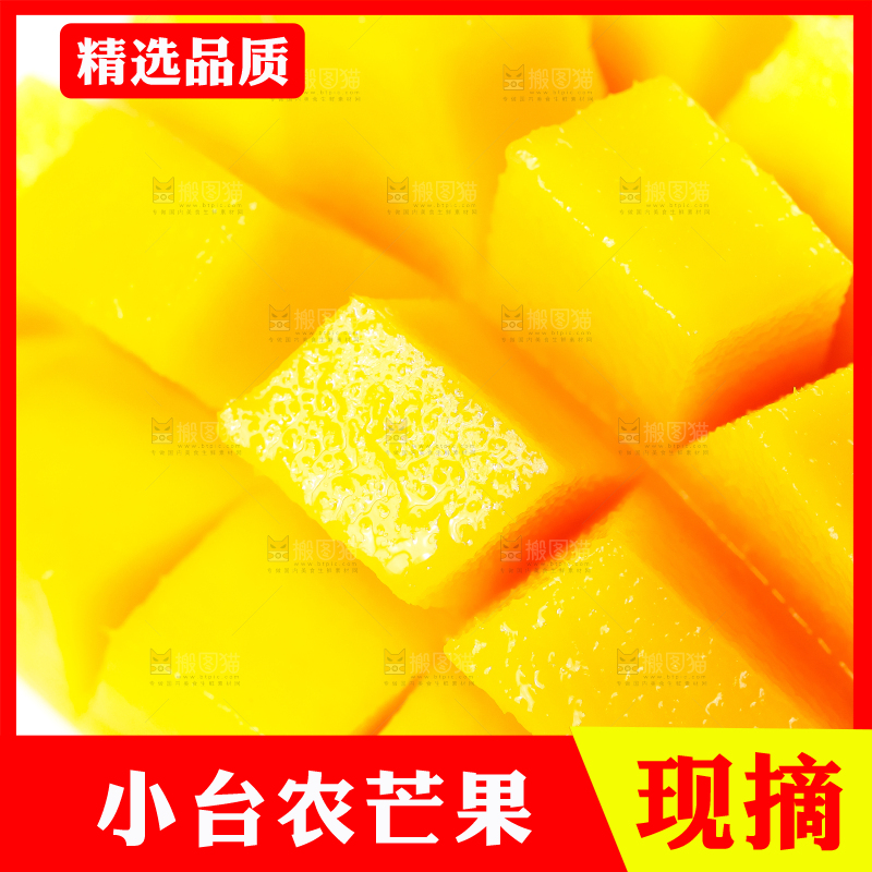 白底上放着台农芒