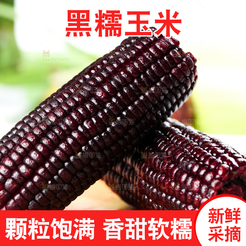 木底上放着紫玉米