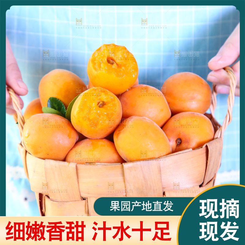 手里提着一篮杏子