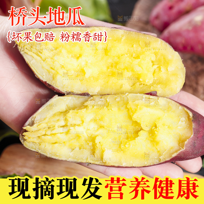 手里拿着桥头地瓜