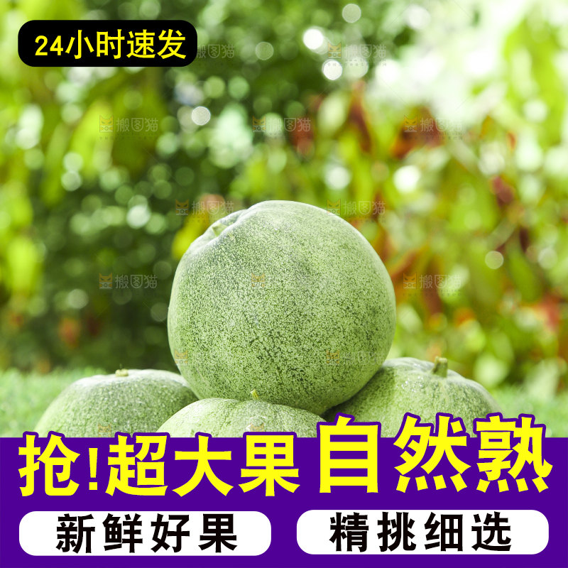 草地上放着绿皮甜瓜