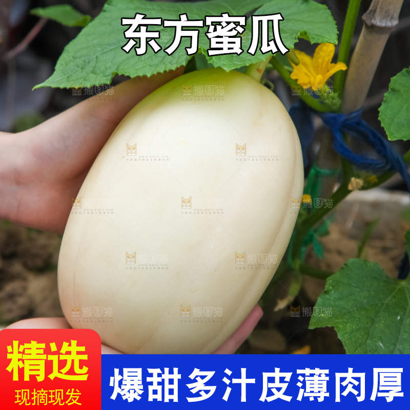 手里拿着东方蜜
