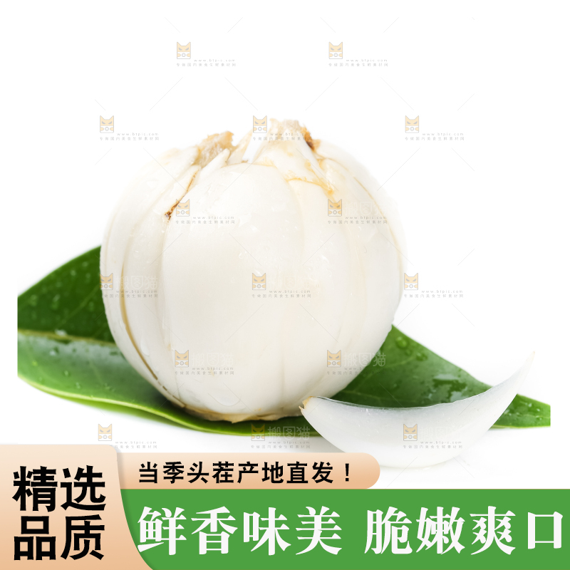 枝叶上摆放着鲜百合
