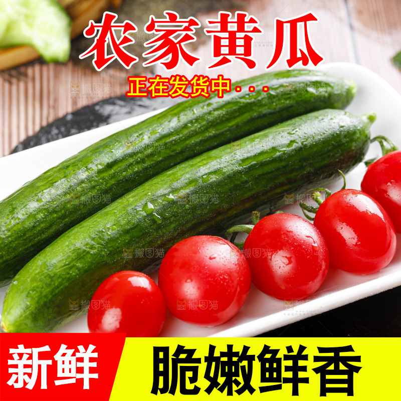 盘子里装着嫩黄瓜