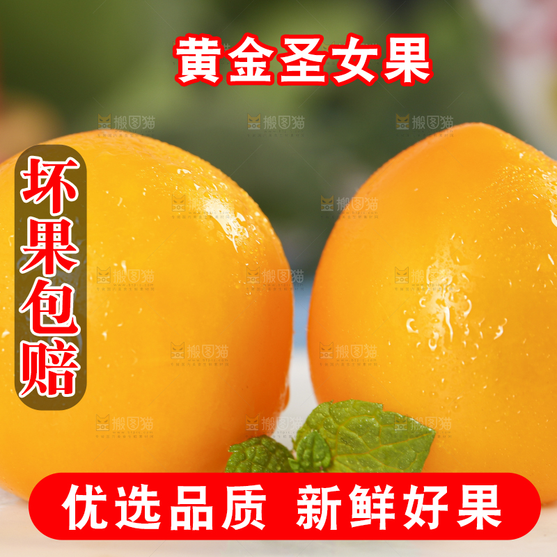 白底上摆放着黄金圣女果