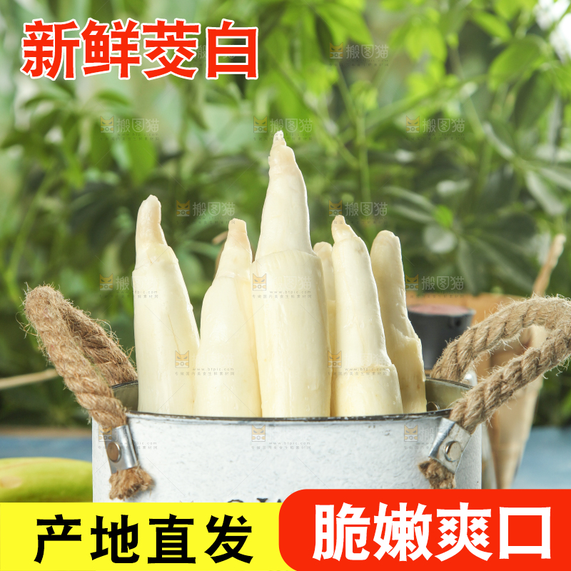 木底上摆放着云南茭白