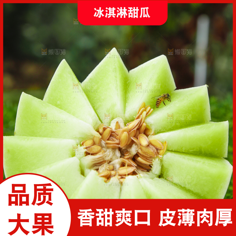 草地上摆放着玉菇甜瓜