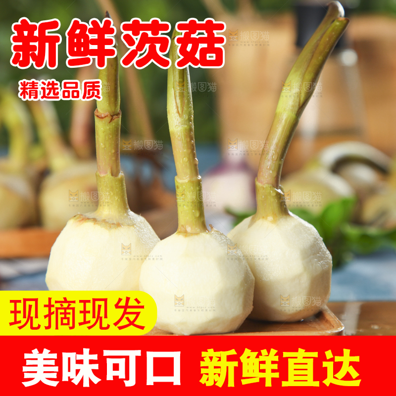 盘子里装着慈菇