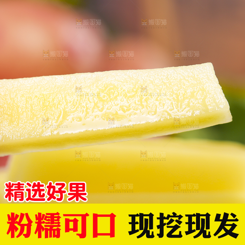 手里拿着红皮土豆