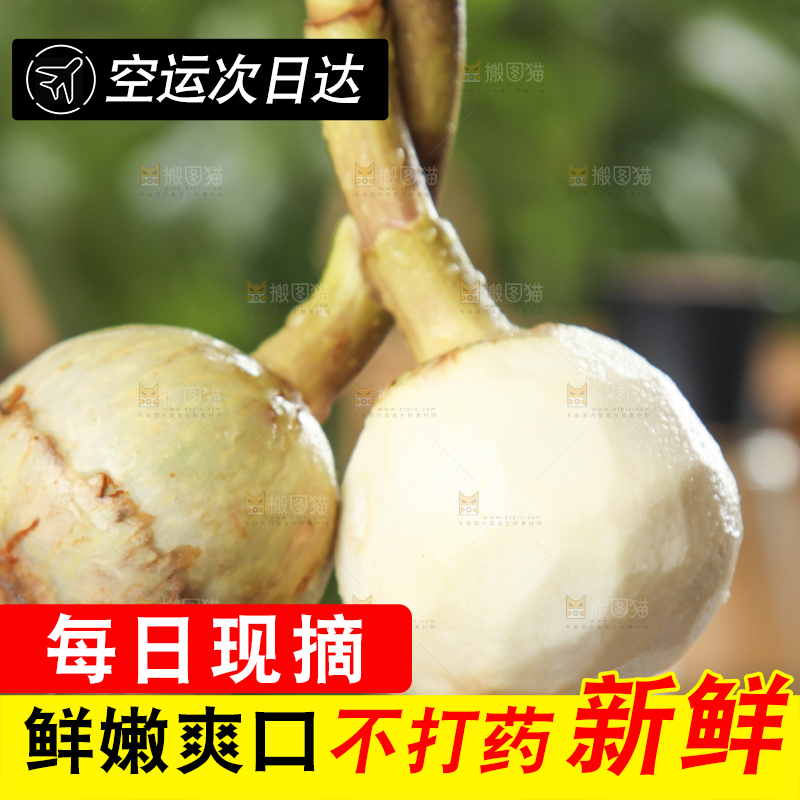 手里拿着白慈菇
