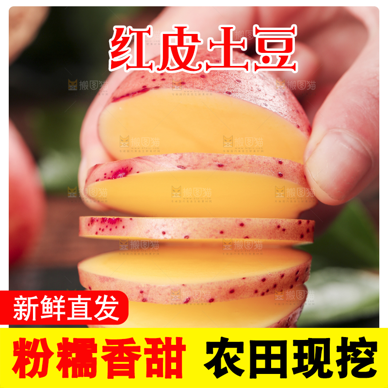 手里拿着红皮土豆
