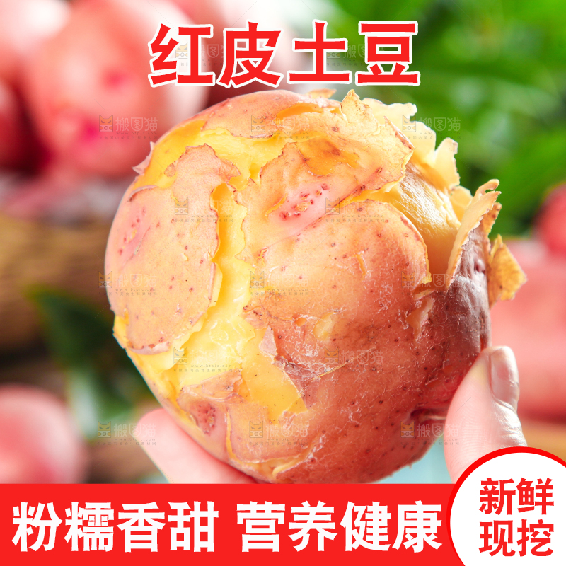 手里拿着红皮土豆