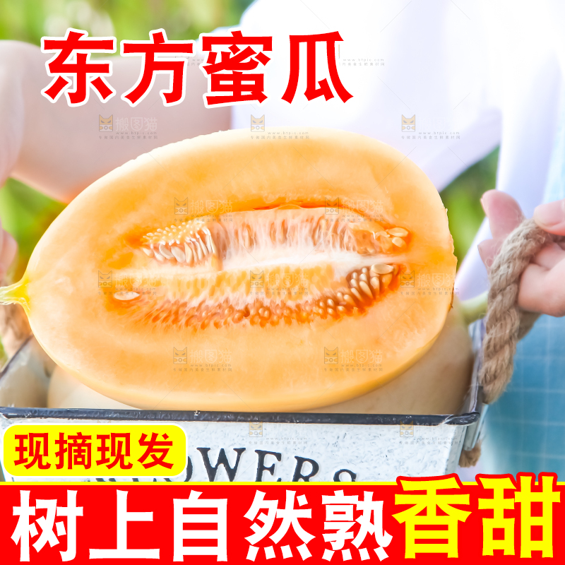 手里提着蜜瓜