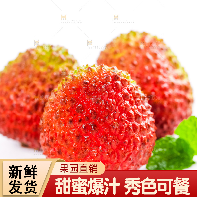 白底上摆放着妃子荔枝