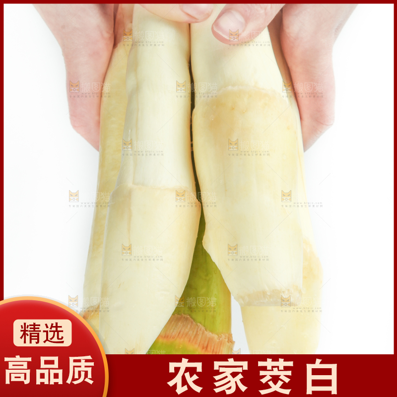 手里拿着茭白