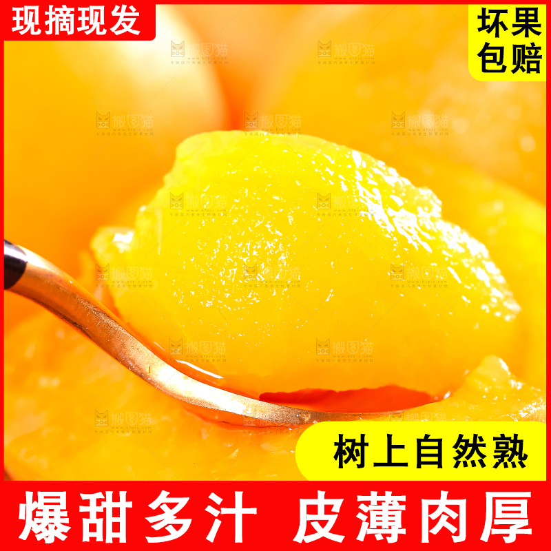 勺子上放着杏子