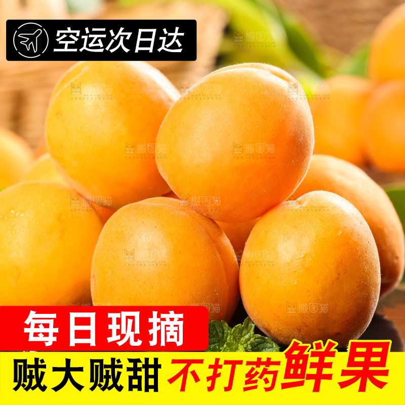 深底上放着黄杏
