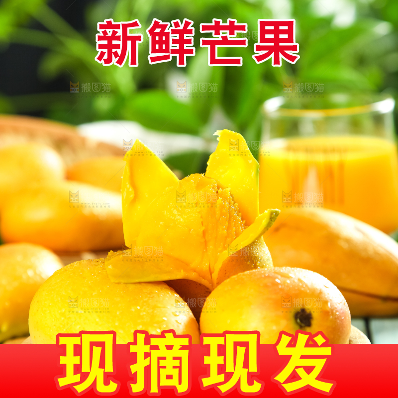 木底上摆放着台农芒