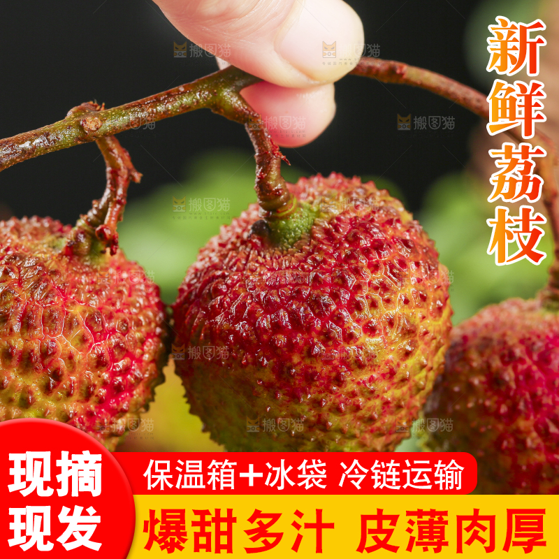 手里拿着高州妃子笑荔枝