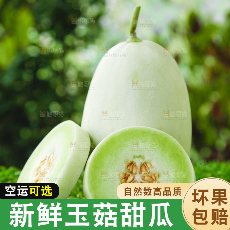 绿草地上摆放着玉菇甜瓜
