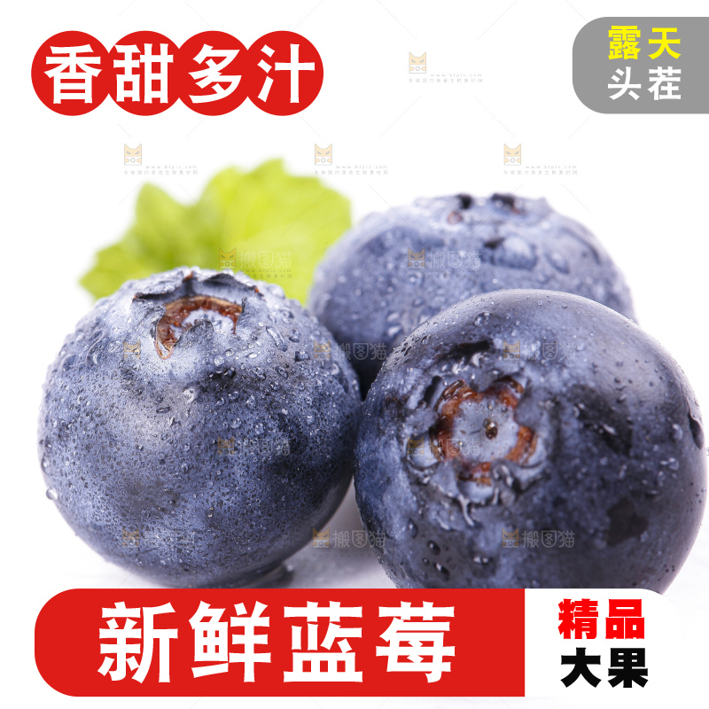 白底上摆放着蓝莓果