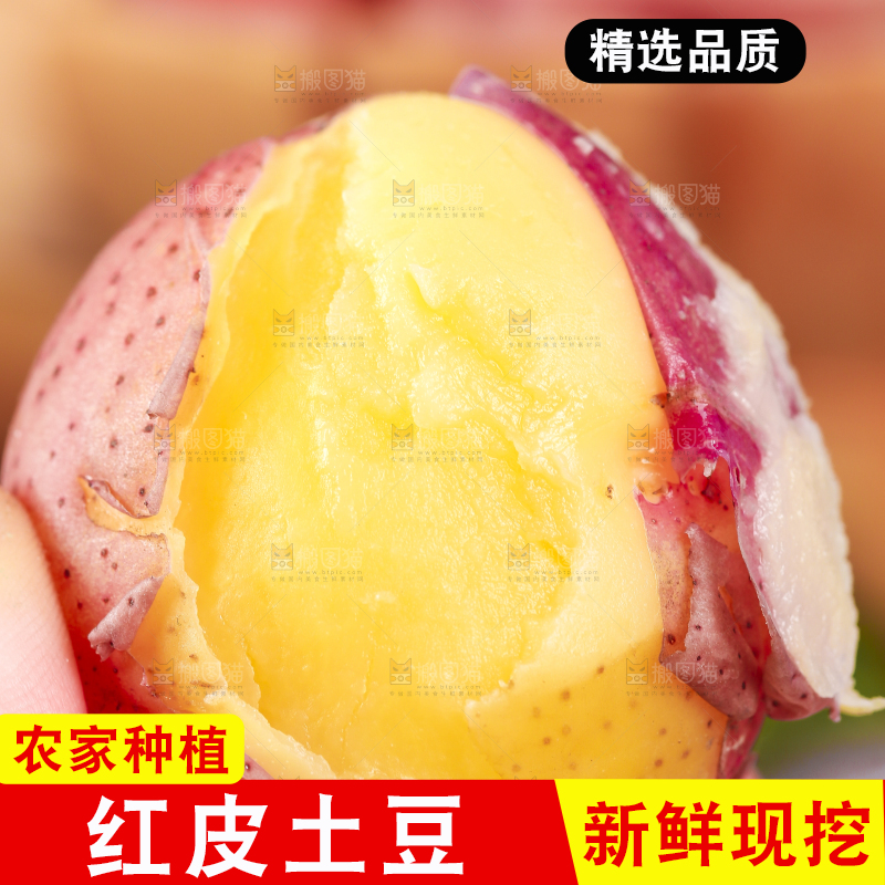 手里拿着红皮土豆