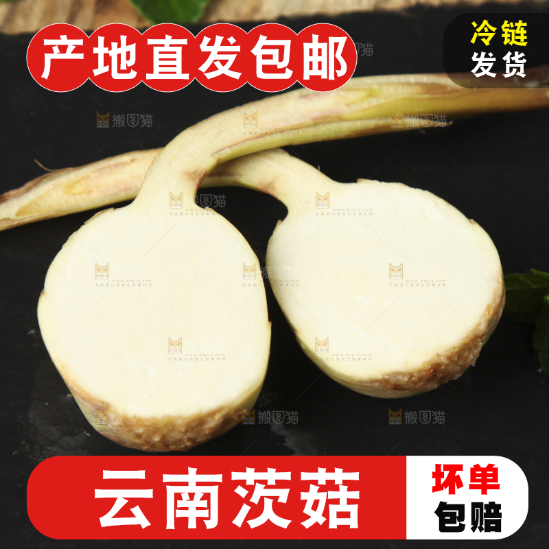 黑底上放着云南新鲜茨菇