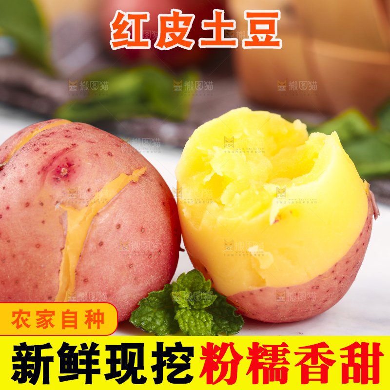 白底上摆放着新鲜土豆