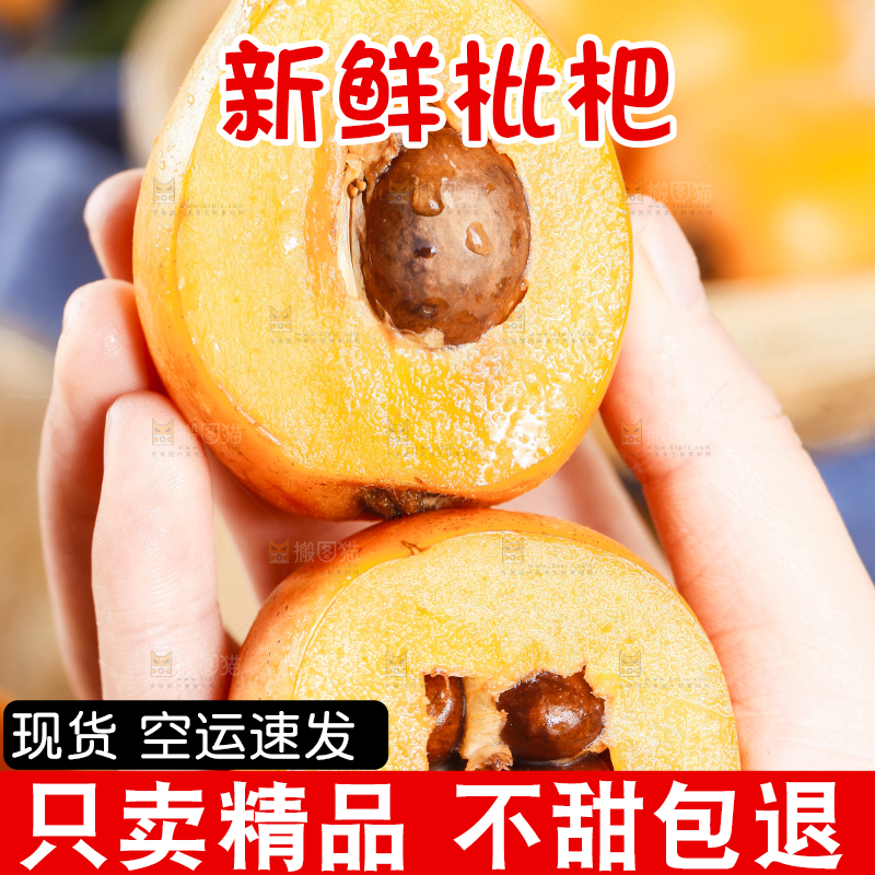 手里拿着高山枇杷