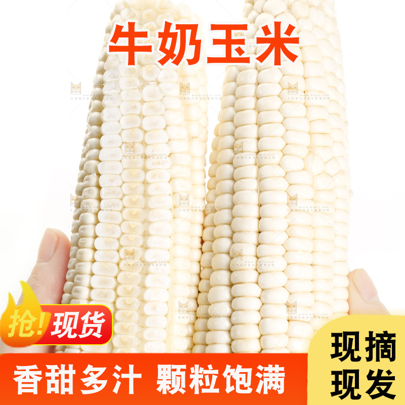 手里拿着白玉米