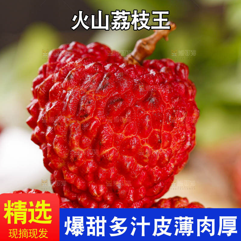 木底上摆放着火山荔枝王