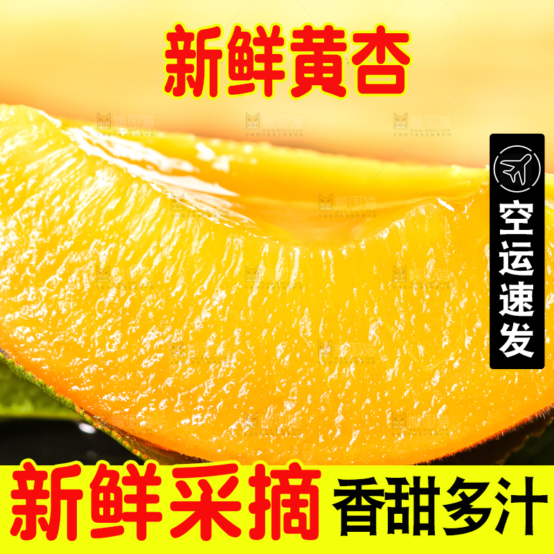 黑底上放着大黄杏