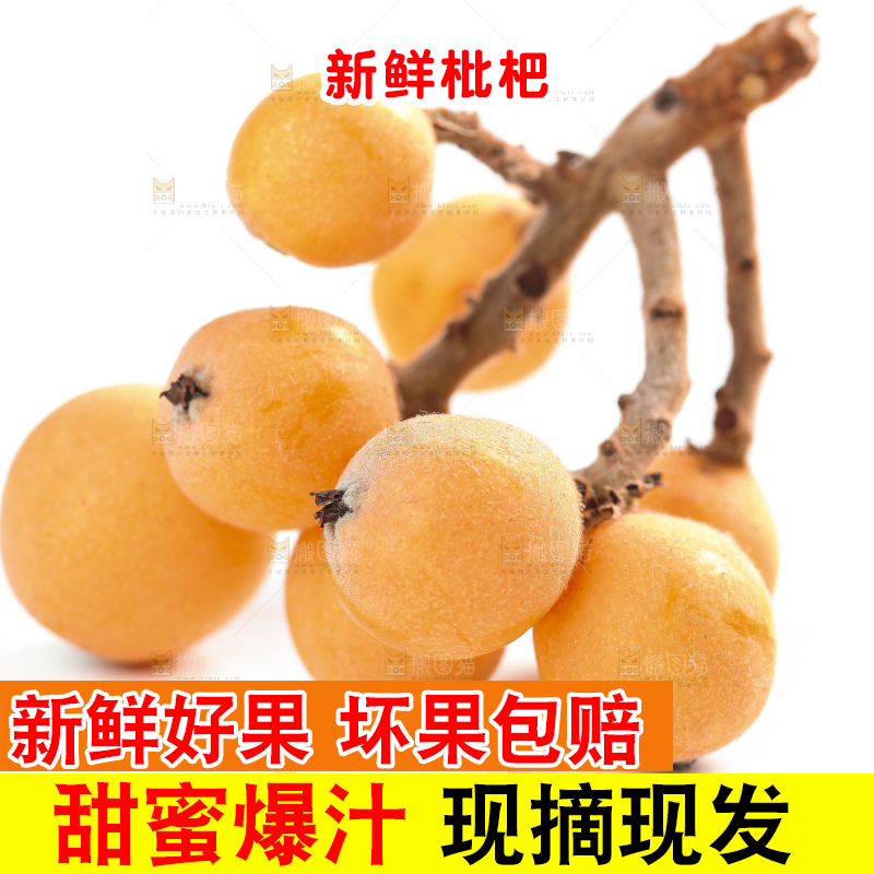 白底上放着云南蒙自枇杷