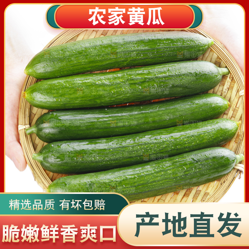 手里拿着一篮水果黄瓜