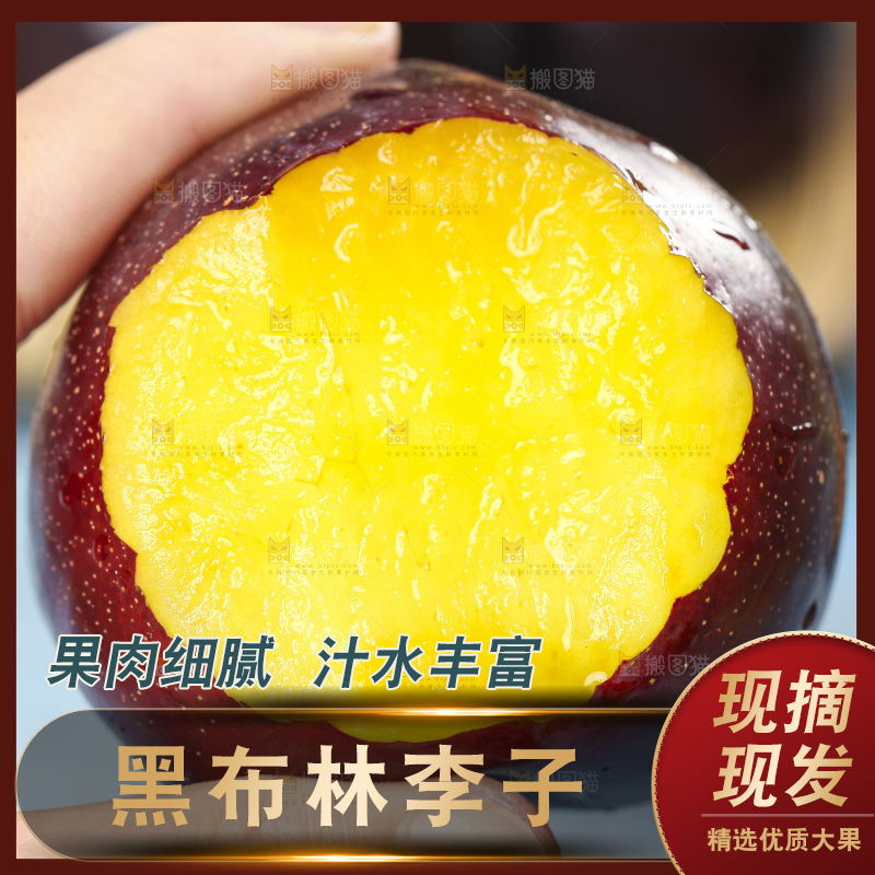 手里拿着陕西黑布林