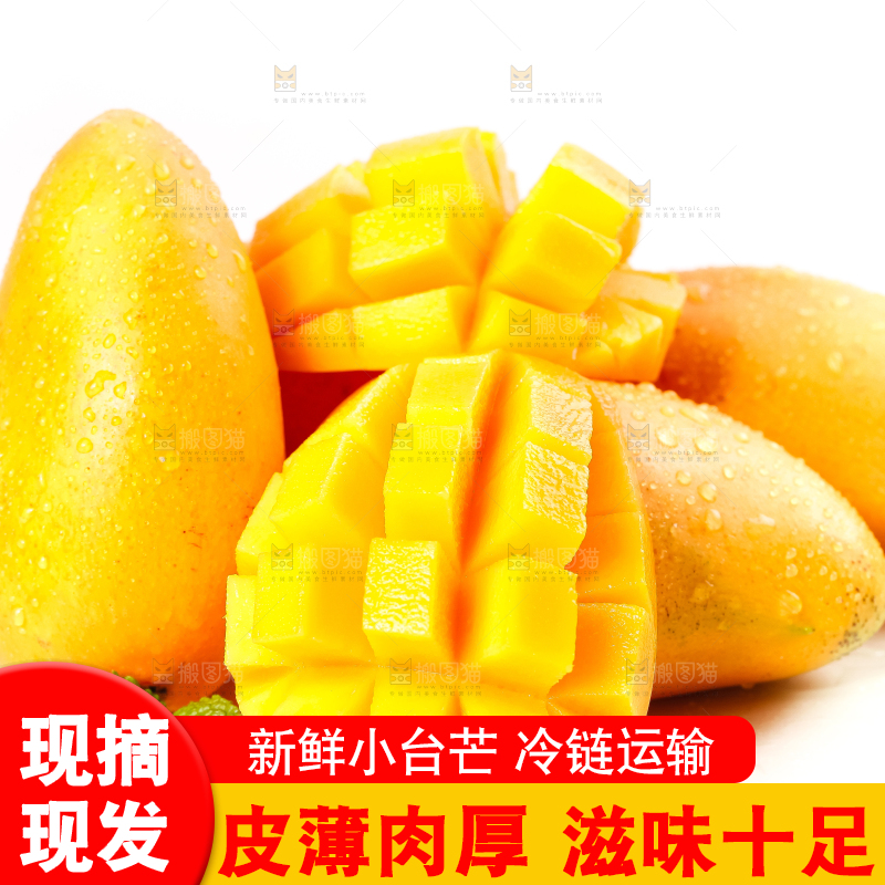 白底上放着台农芒