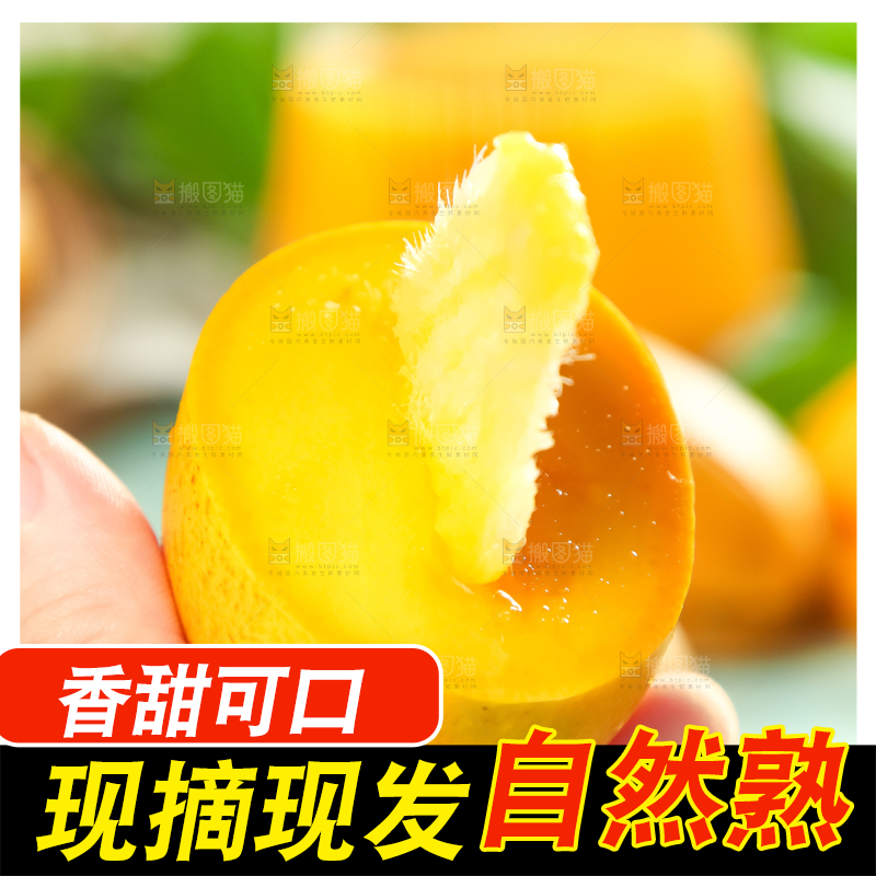 手里拿着台农芒