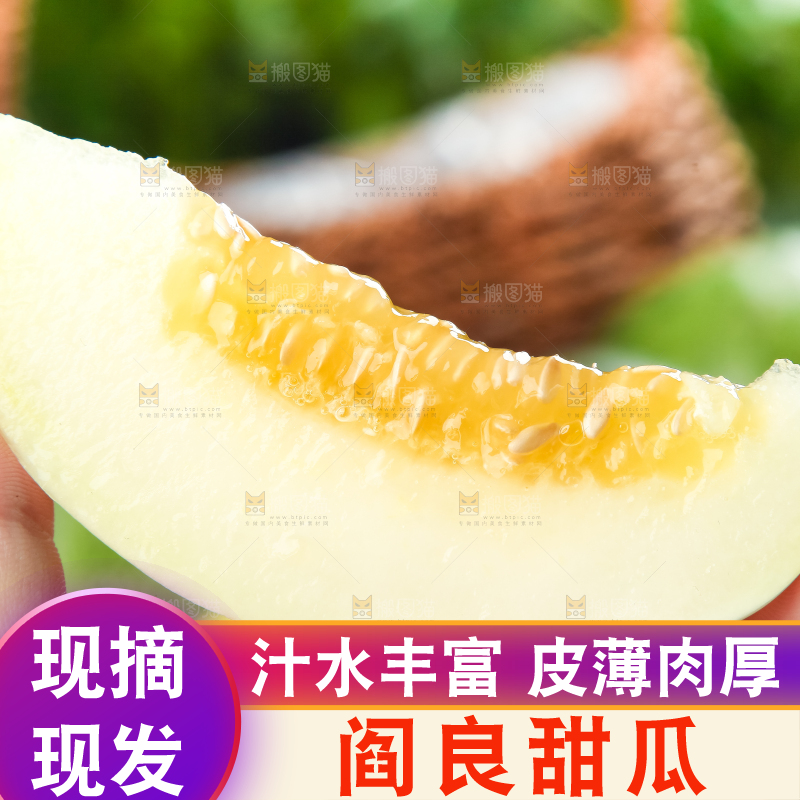 手里拿着阎良甜瓜
