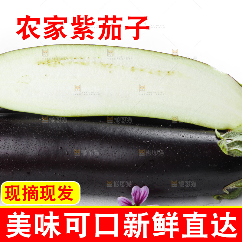 白底上摆放着紫茄子
