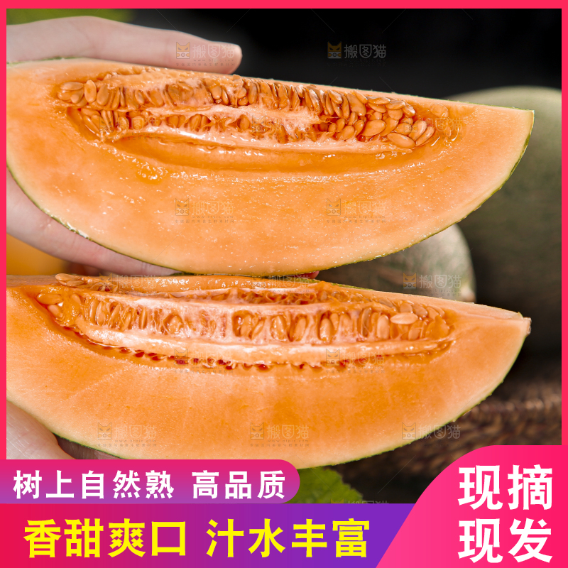 哈密瓜主图
