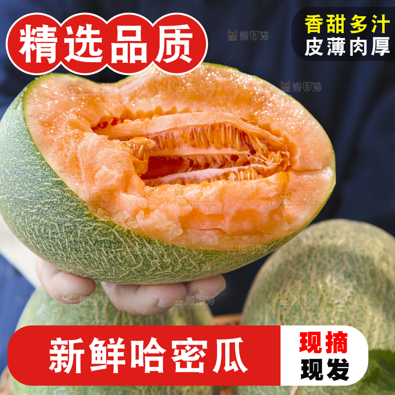 手里拿着哈密瓜