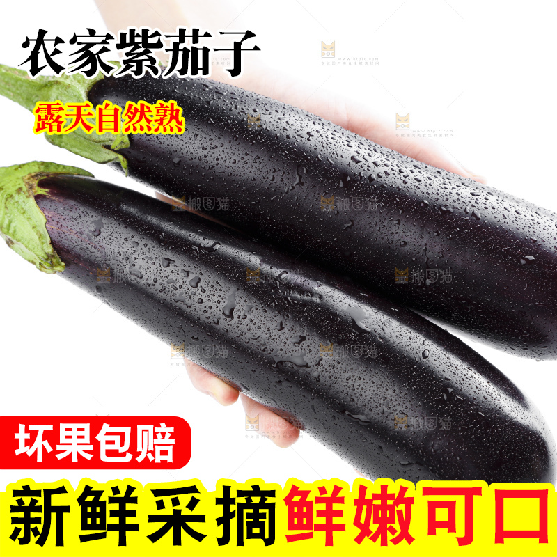 手里拿着茄子