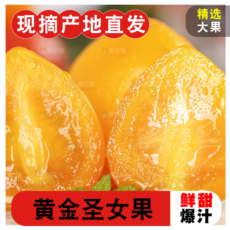 白底上摆放着山东黄金小番茄