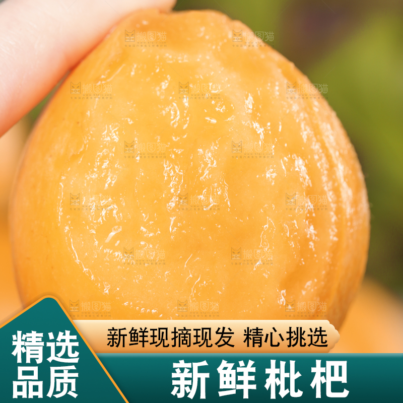 手里拿着枇杷果